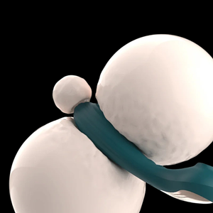 Succionador y Vibrador Bumi Recargable - Imagen 2