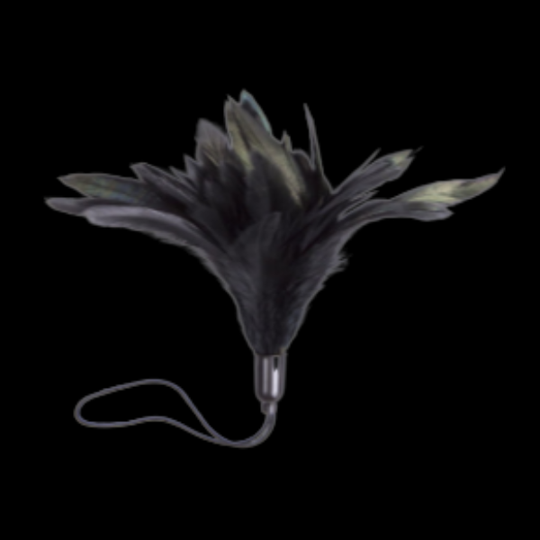 Broche de Plumas Negras con Lazo