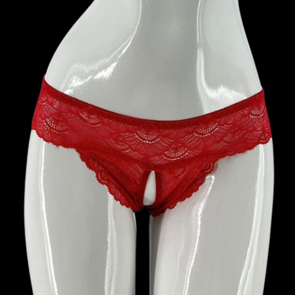 Elisa Pantaleta Abierta de Encaje Rojo